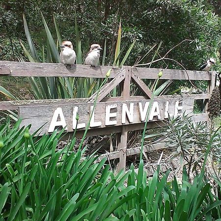 Villa Allenvale à Lorne Extérieur photo